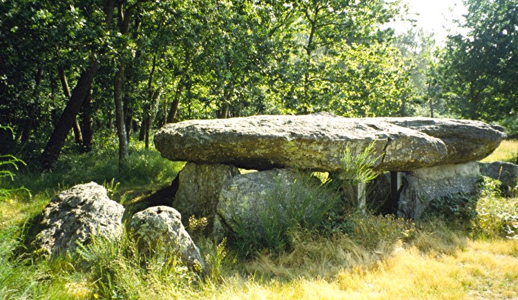 Dolmen dit des Tablettes