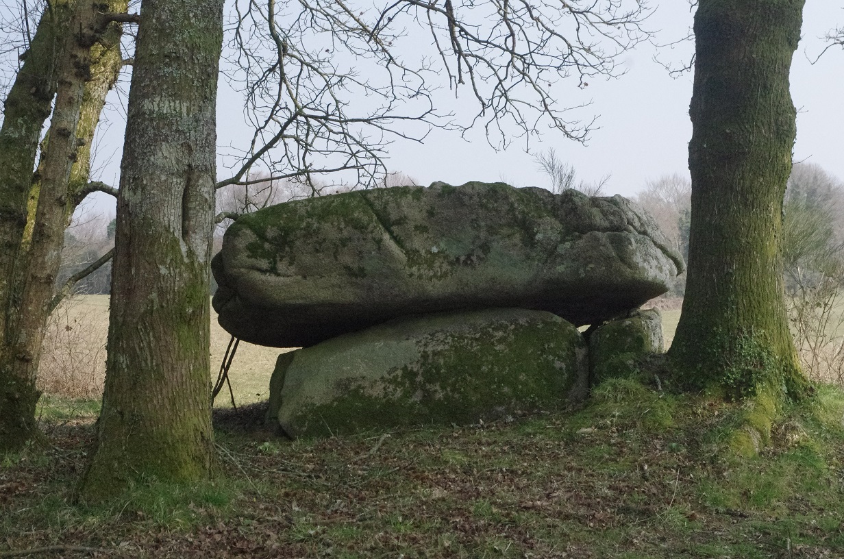 Click for the gallery page to add comments and vote (PID:146221) Dolmen de Guidfosse