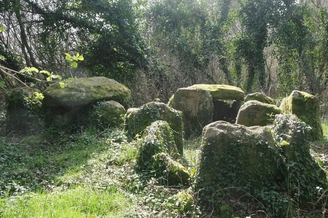 Click for the gallery page to add comments and vote (PID:146180) Dolmen de Locqueltas
