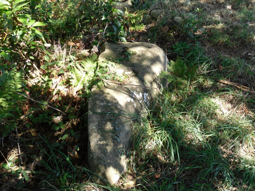 Click for the gallery page to add comments and vote (PID:128231) Menhirs de Mané er Hroëck