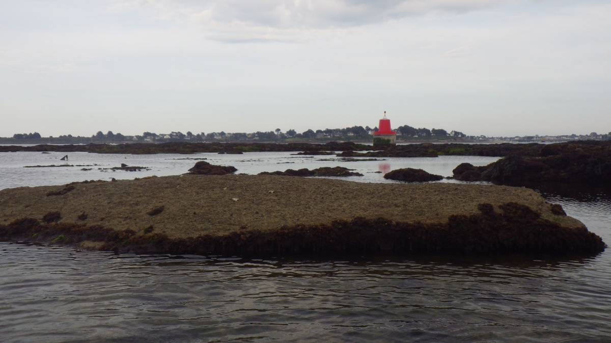 Click for the gallery page to add comments and vote (PID:275335) Menhir de Goémorent