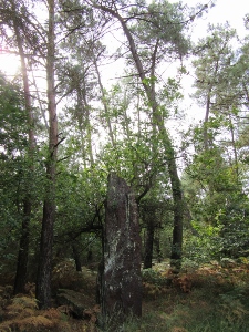 Click for the gallery page to add comments and vote (PID:123874) Chomet de Coëtplan