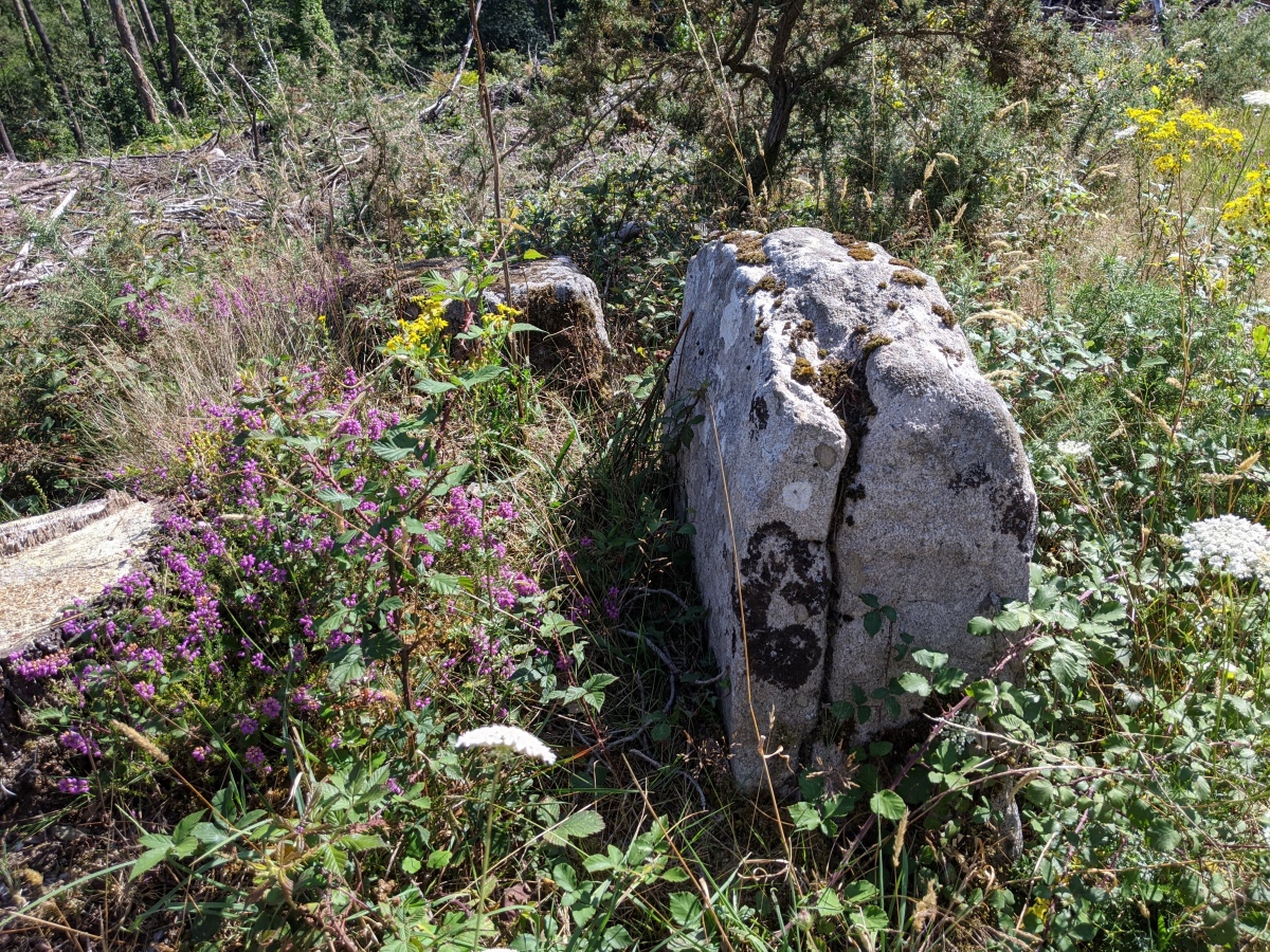 Click for the gallery page to add comments and vote (PID:213942) Dolmen du Manio