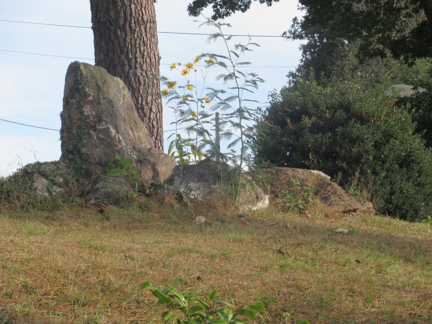 Allée Couverte du Haut Bodel