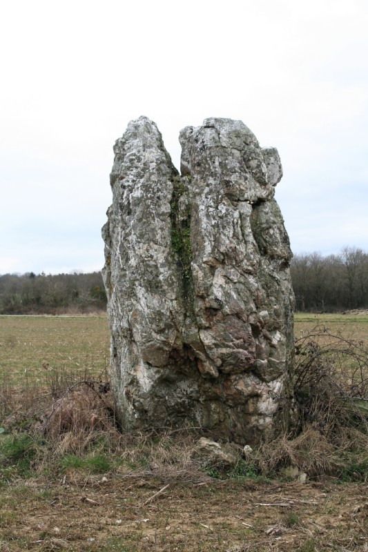 Piprais menhir