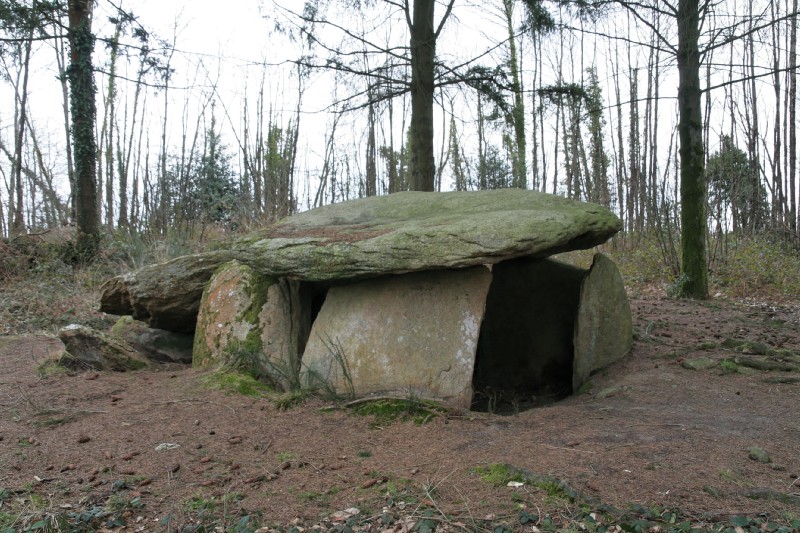 Click for the gallery page to add comments and vote (PID:55134) Dolmen-des-Follets