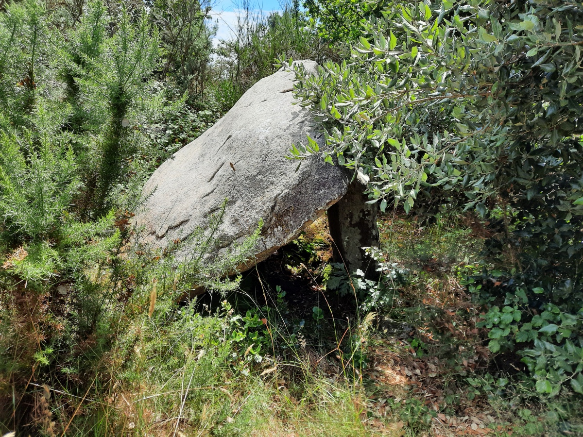 Click for the gallery page to add comments and vote (PID:248558) Dolmen de Queric-En-Arvor