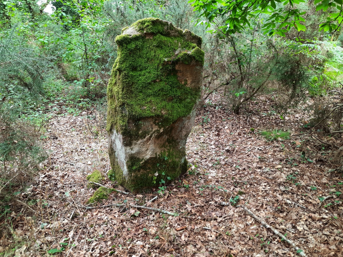 Click for the gallery page to add comments and vote (PID:248841) Menhir dit Er-Roh 3