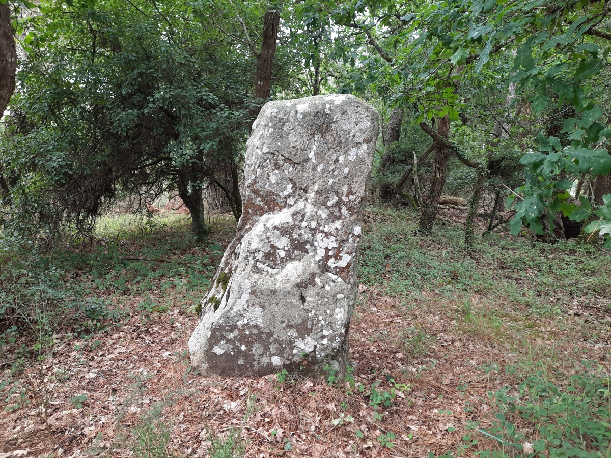Click for the gallery page to add comments and vote (PID:248846) Menhir dit Er-Roh 2