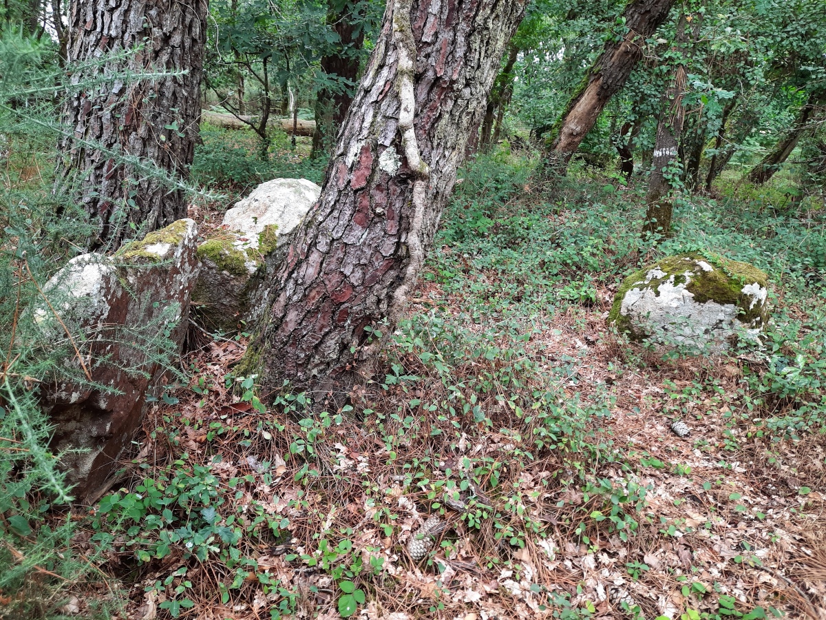 Click for the gallery page to add comments and vote (PID:248850) Dolmen du Clos Pernel