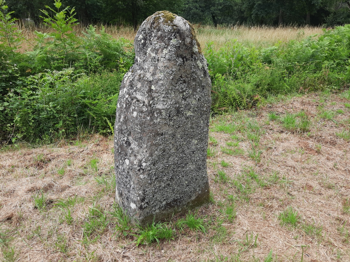 Click for the gallery page to add comments and vote (PID:248868) Menhir de Gouyanzeur