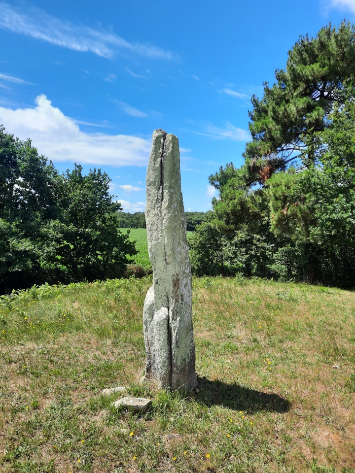 Click for the gallery page to add comments and vote (PID:248913) Menhir de Crucuny 1