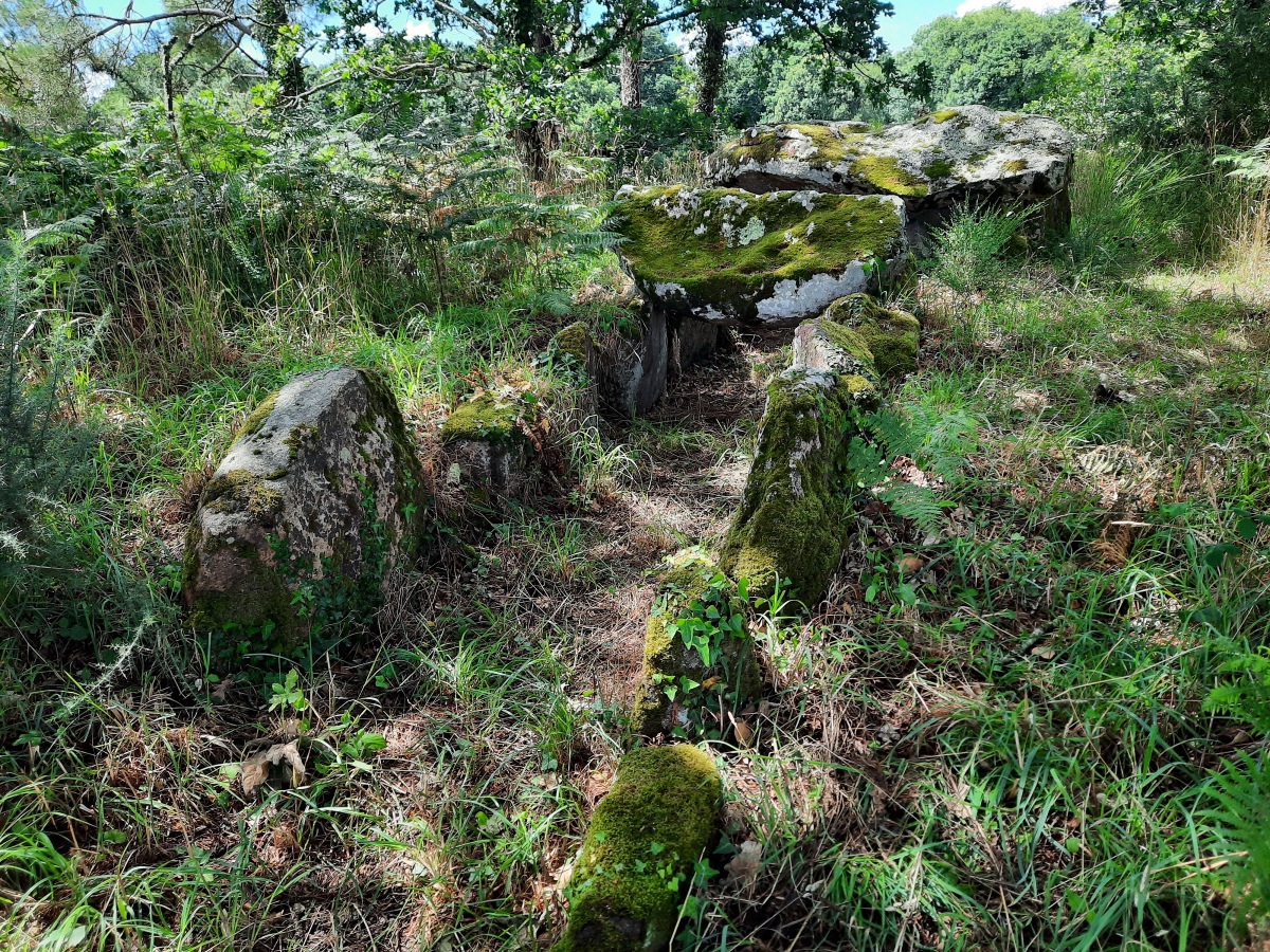 Dolmen de Nauterio