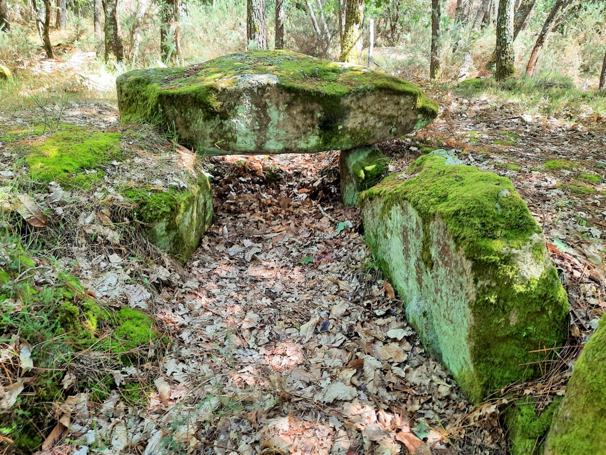 Click for the gallery page to add comments and vote (PID:248956) Dolmen de Mané-Roch 2