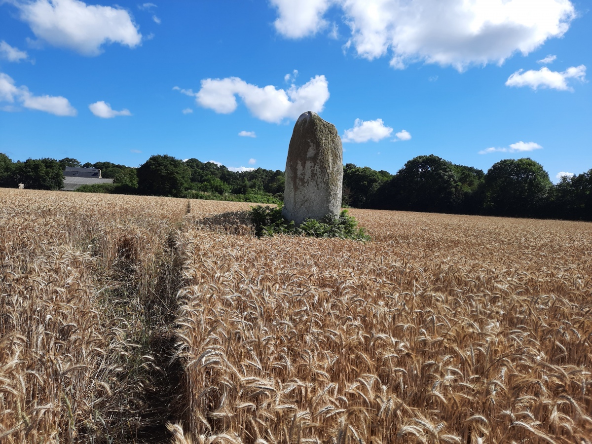 Click for the gallery page to add comments and vote (PID:248970) Menhir de Kerlagad (Carnac)