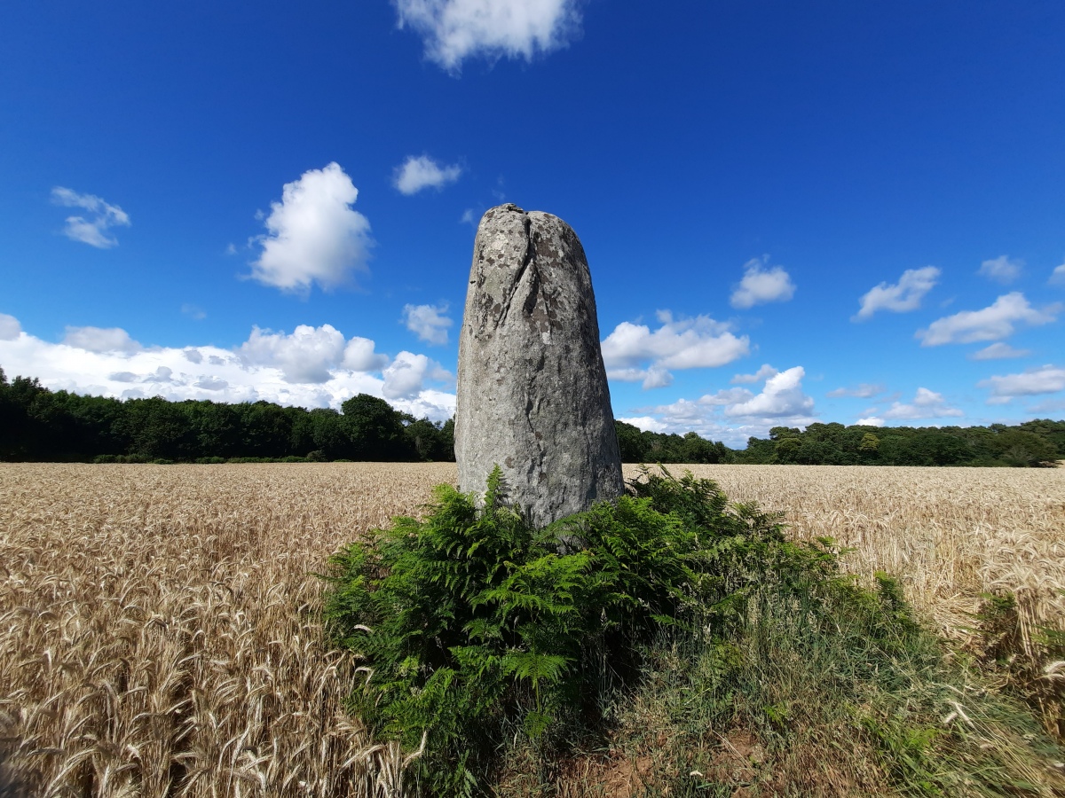Click for the gallery page to add comments and vote (PID:248968) Menhir de Kerlagad (Carnac)