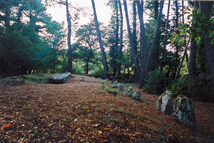 Click for the gallery page to add comments and vote (PID:34593) Kerlescan nord allée couverte