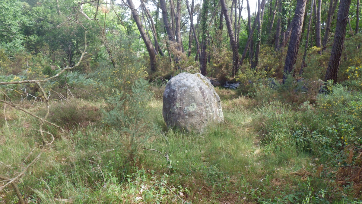 Click for the gallery page to add comments and vote (PID:279092) Menhir de Kerlescan 2