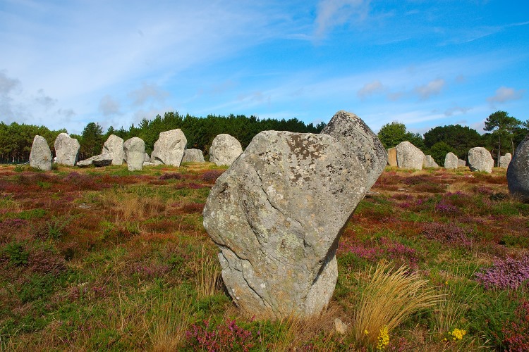 The Stone has the face of an old man asleep in the sun (if you look carefully, my wife thinks it looks more lizard like). Perhaps its an old Obelix keeping watch over his stones.