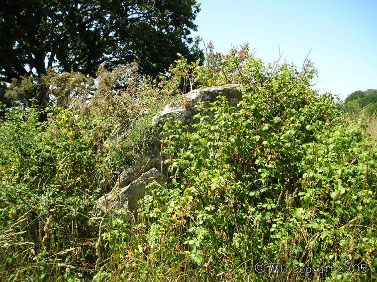 Dolmen de Rosnual