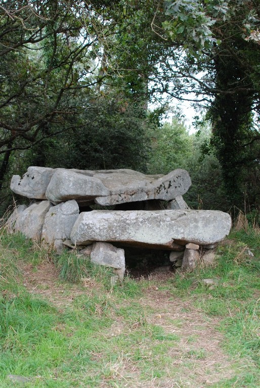 Dolmen de Er-Roc'h-Feutet