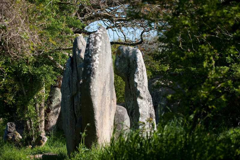 Kerzerho Alignements, a symphony of stones II.