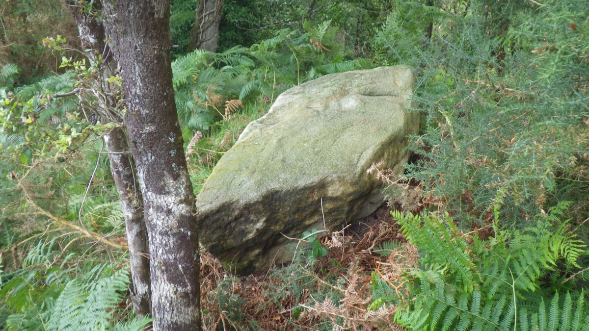Click for the gallery page to add comments and vote (PID:284325) Menhir de Kerdrain