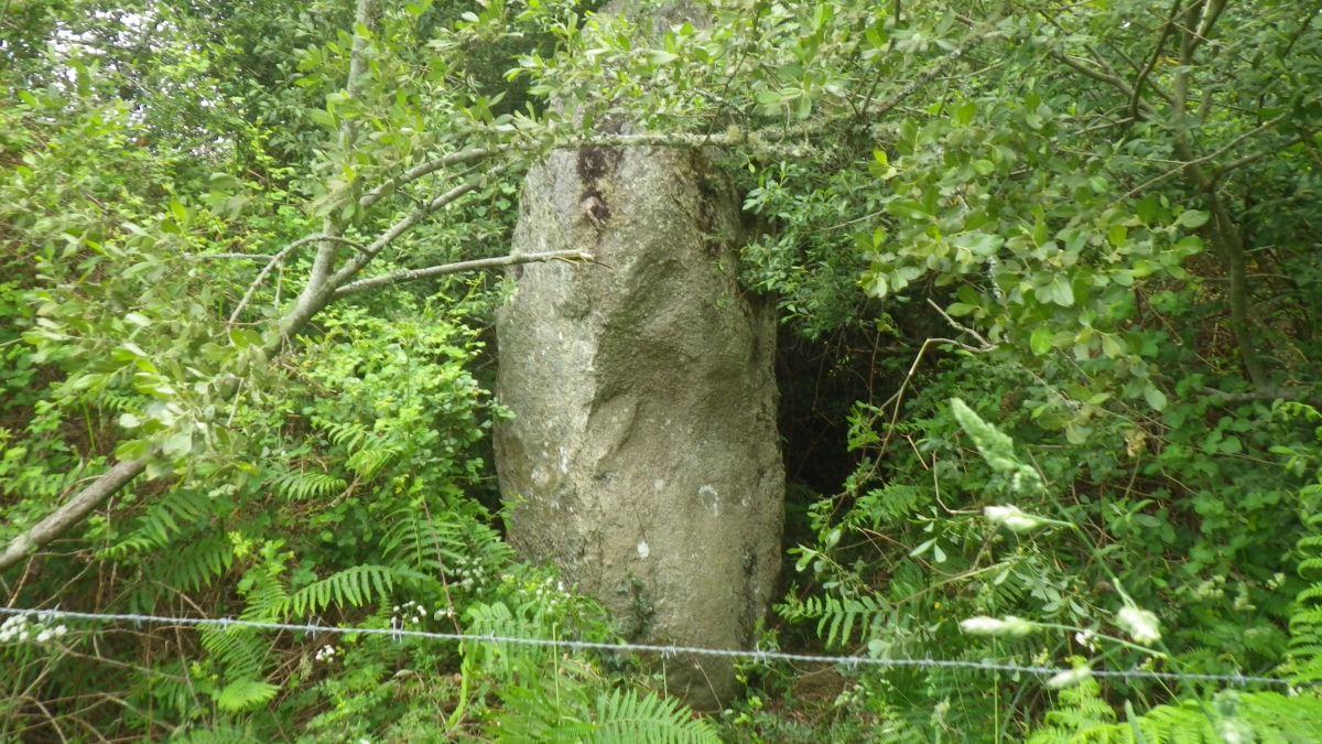 Click for the gallery page to add comments and vote (PID:279093) Menhir de Mané-Pleurec