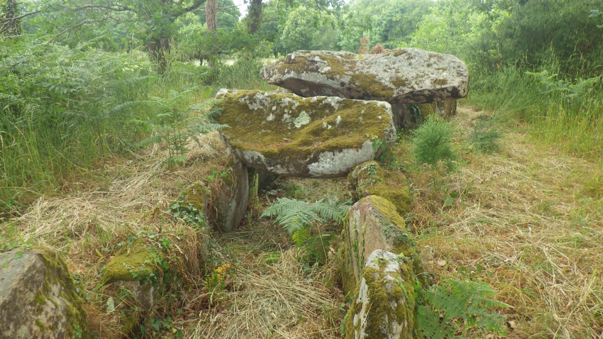 Dolmen de Nauterio
