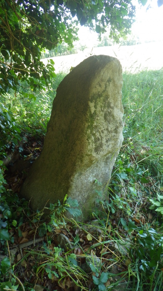 Menhir Kerlann