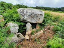 Dolmen de Quéric 1