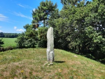 Menhir de Crucuny 1