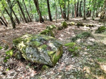 Dolmen de Mané-Roch 2
