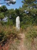 Menhir de Crucuny 1 - PID:18116 Menhir de Crucuny 1 - PID:18116
