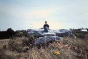 Dolmen de Rosnual - PID:236433