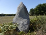 Menhir de Crifol - PID:213196