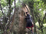 Menhir north of Le Menec - PID:213193