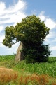 Kerarmel menhir - PID:85904