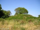 Moustoir tumulus submitted by thecaptain