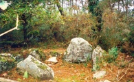 Moustoir Champ de Menhirs - PID:34714