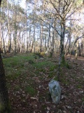 Dolmen de Mané-Roch 1