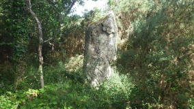 Menhir de Kerlescan 1