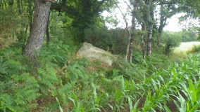 Menhir de Kerdrain