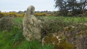 Menhirs de Parc er Gra Miquel