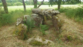 Dolmen de Nauterio - PID:286421