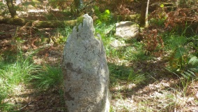 Menhirs de Lannec er Gadouer