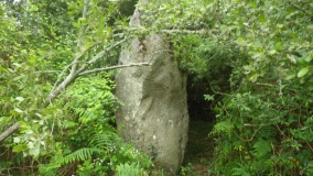 Menhir de Mané-Pleurec
