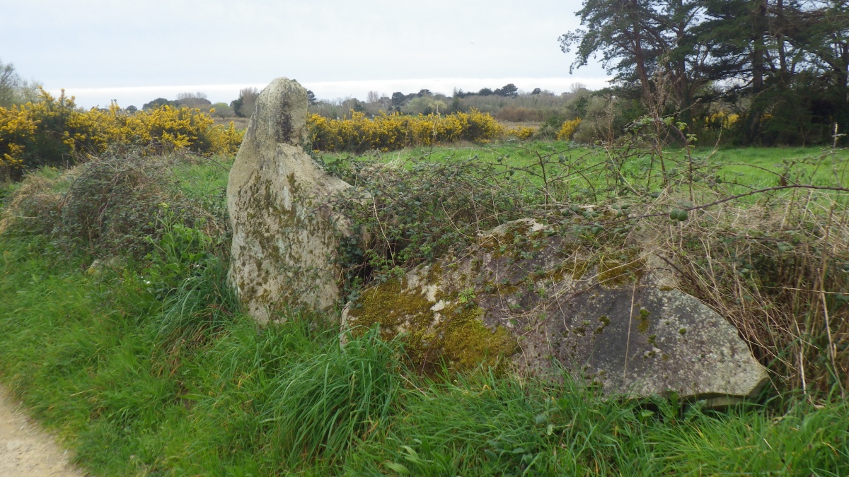Menhirs de Parc er Gra Miquel