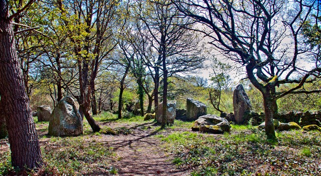Click for the gallery page to add comments and vote (PID:103406) Kerjean menhirs