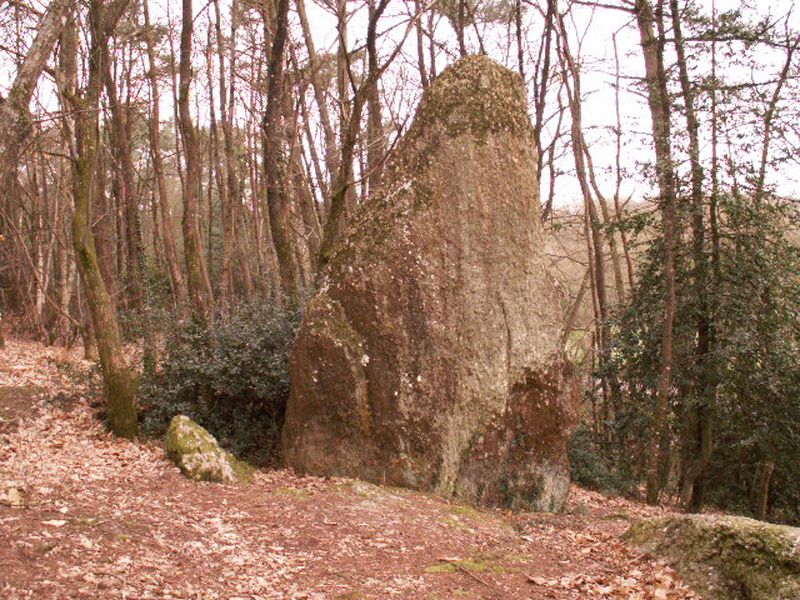 La Roche Piquée (La Gacilly)